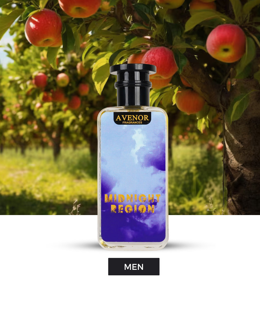 Midnight Region – Inspired by 1 Million Elixer